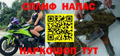 крисы Малгобек