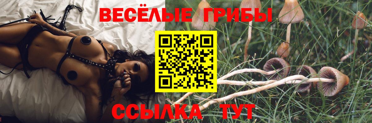 Янаул  Псилоцибиновые грибы ЛСД  Вход с VPN  Псилоцибиновые грибы мицелий 